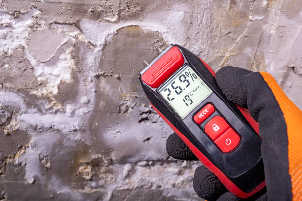 Best Mold Damage Repair  in El Paso, TX