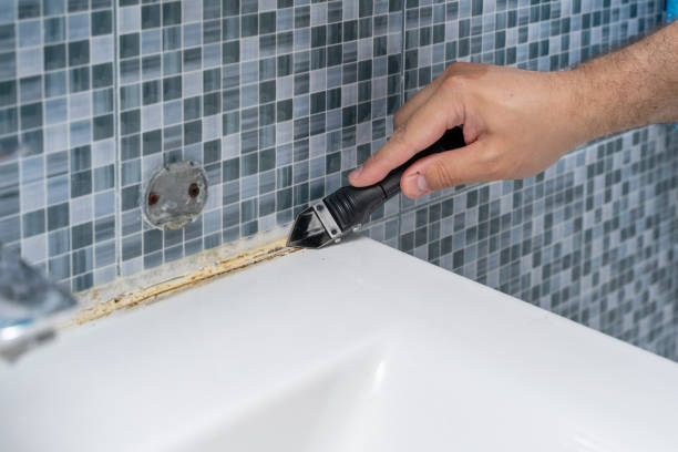 Best Home Mold Removal  in El Paso, TX